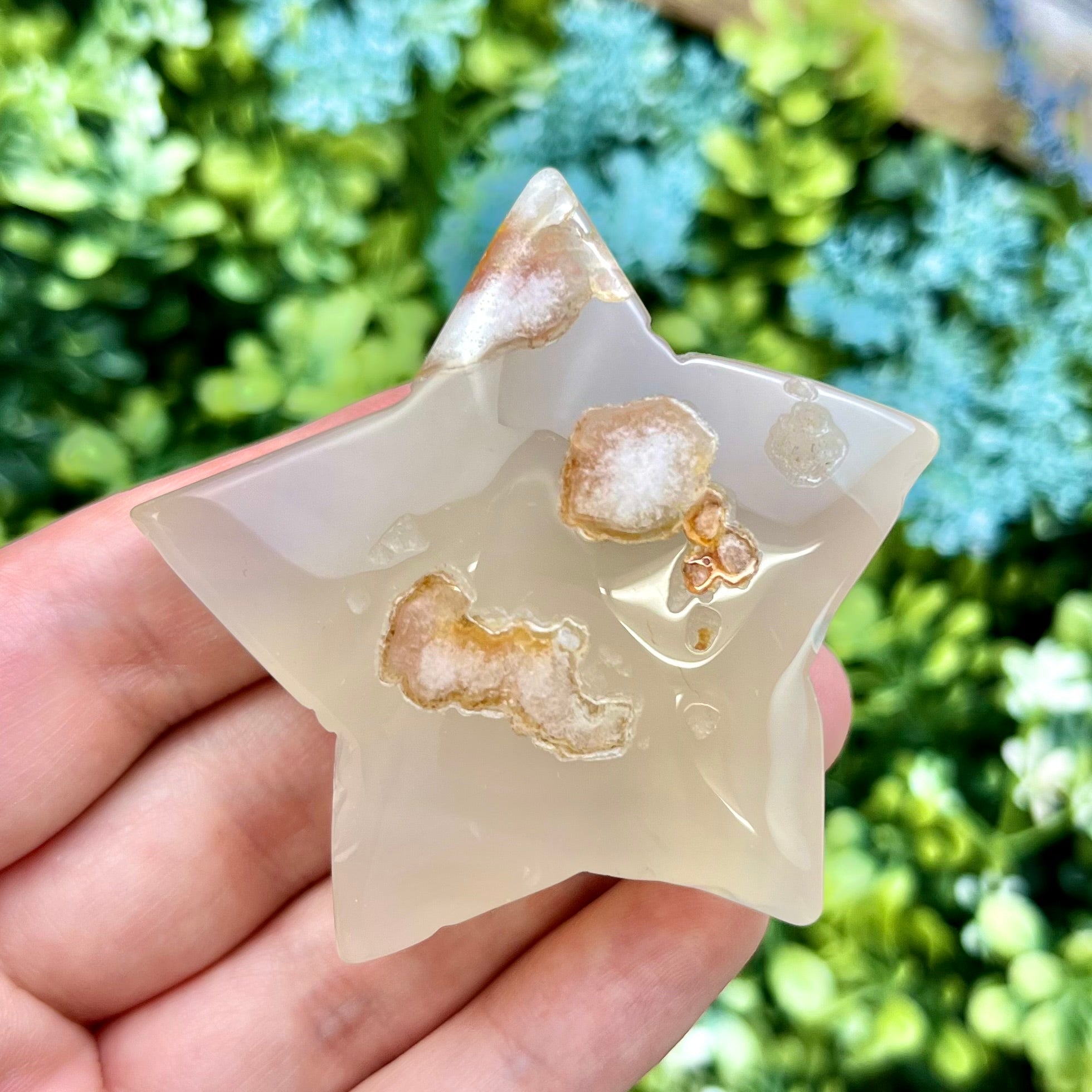 2 Inch Flower Agate Star V21