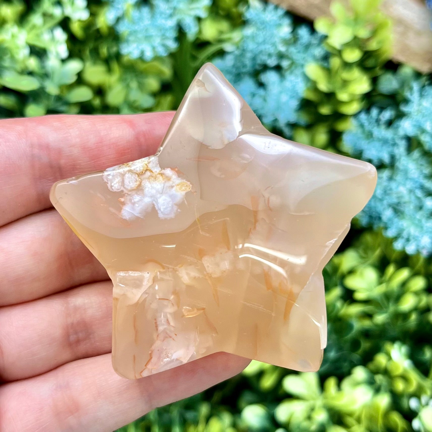 2.25 Inch Flower Agate Star X27