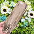 8.75 Inch Petrified Wood Slab L92
