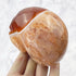 3.5 Inch Carnelian Skull Carving Y115