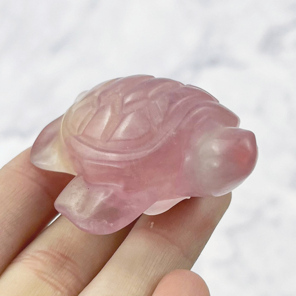 2 Inch Fluorite Turtle Carving X36