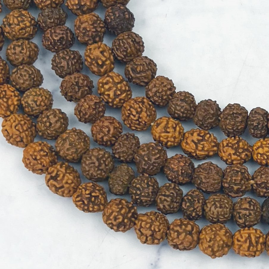 6mm Rudraksha Bead Strand