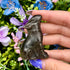 2 Inch Silver Sheen Obsidian Wolf Carving W24