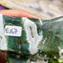 3.5 Inch Moss Agate Owl E167