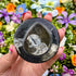 1.5 Inch Orthoceras Fossil Container with Lid G32