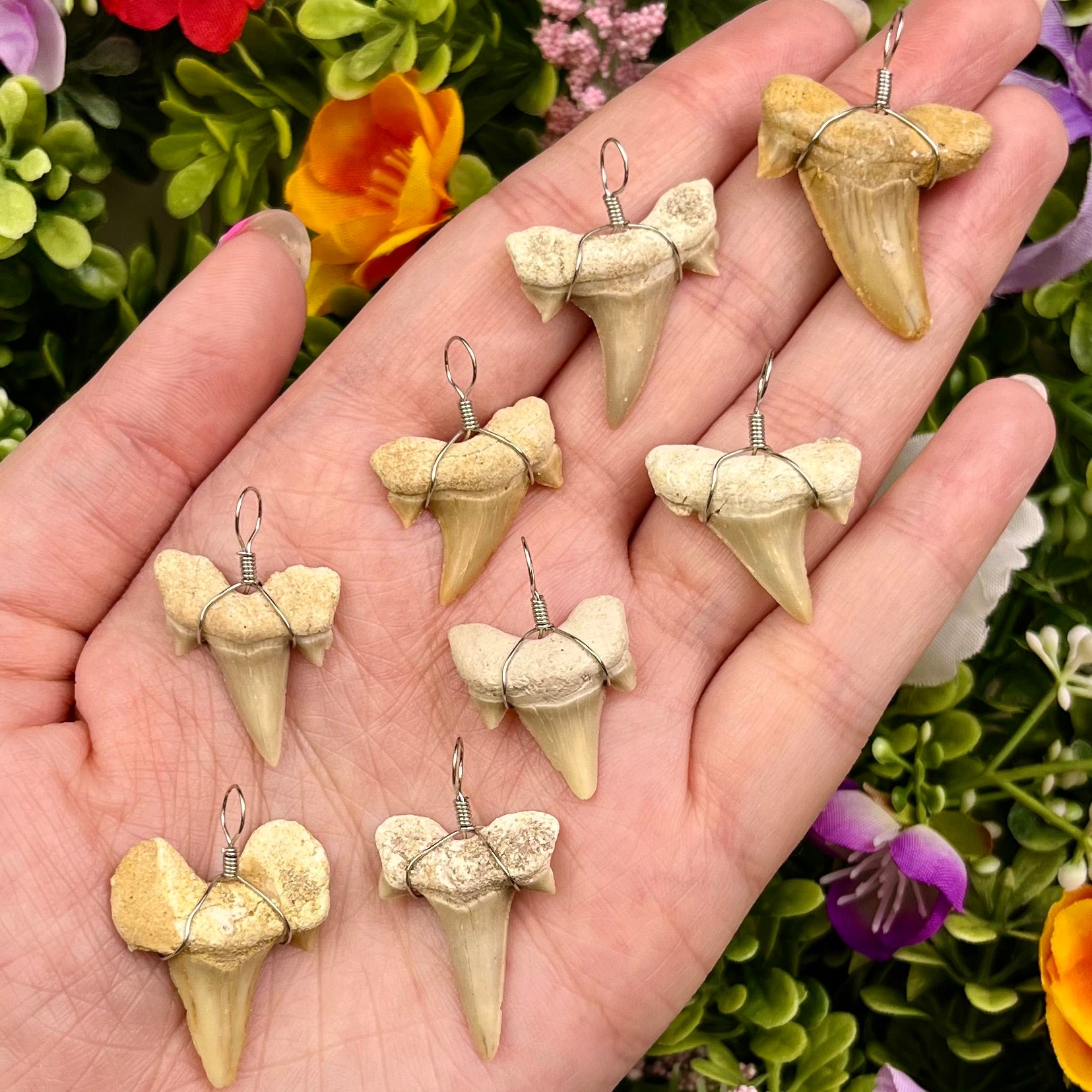 1 - 1.75 Inch Moroccan Shark Teeth Pendants