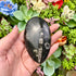 3.5 Inch Orthoceras Teardrop Fossil X18