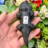 3.75 Inch Obsidian Axolotl C60
