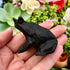 2 Inch Sandblasted Obsidian Horned Frog B36