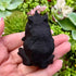 2 Inch Sandblasted Obsidian Horned Frog M36