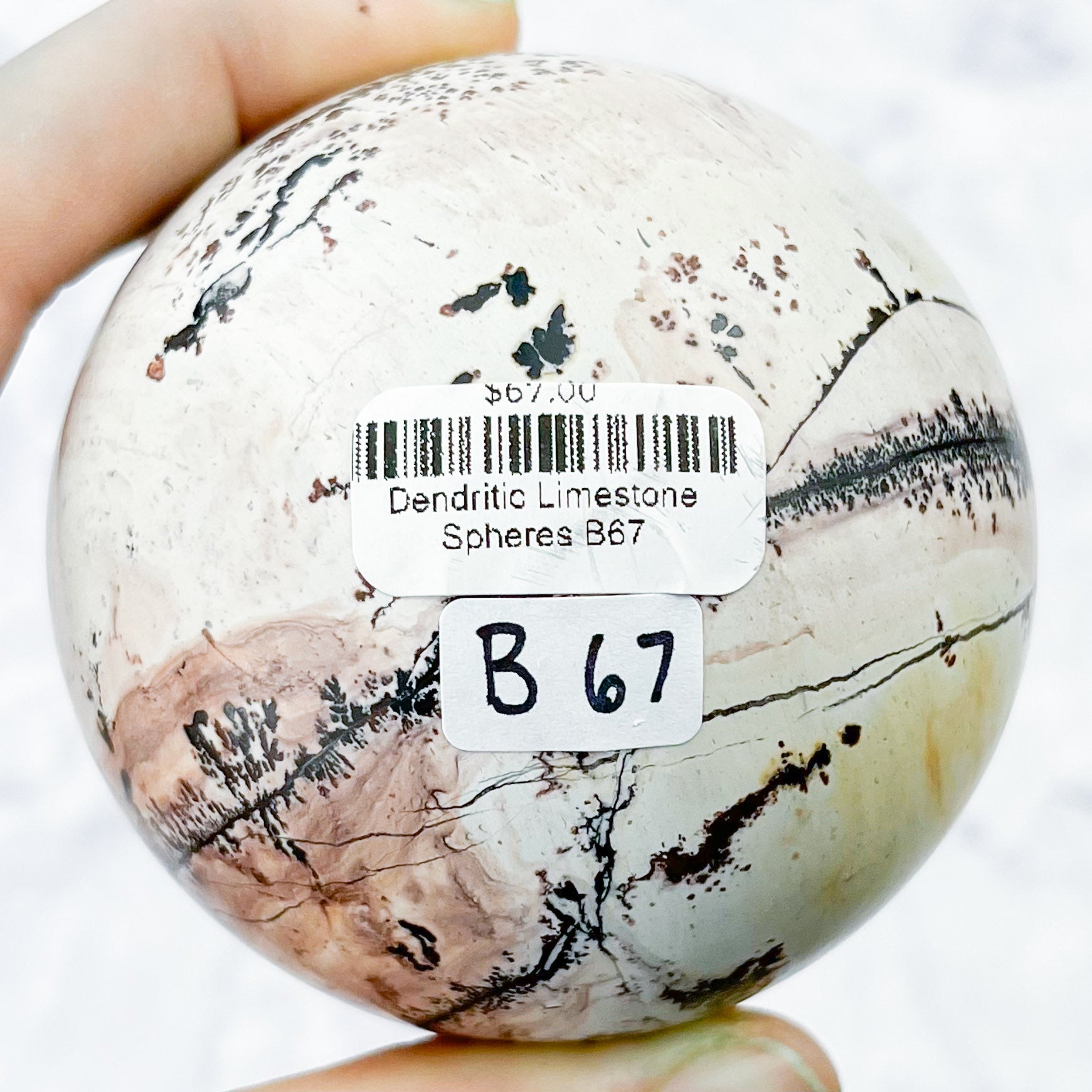 2.5 Inch Dendritic Limestone Sphere B67