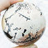 2.5 Inch Dendritic Limestone Sphere B67