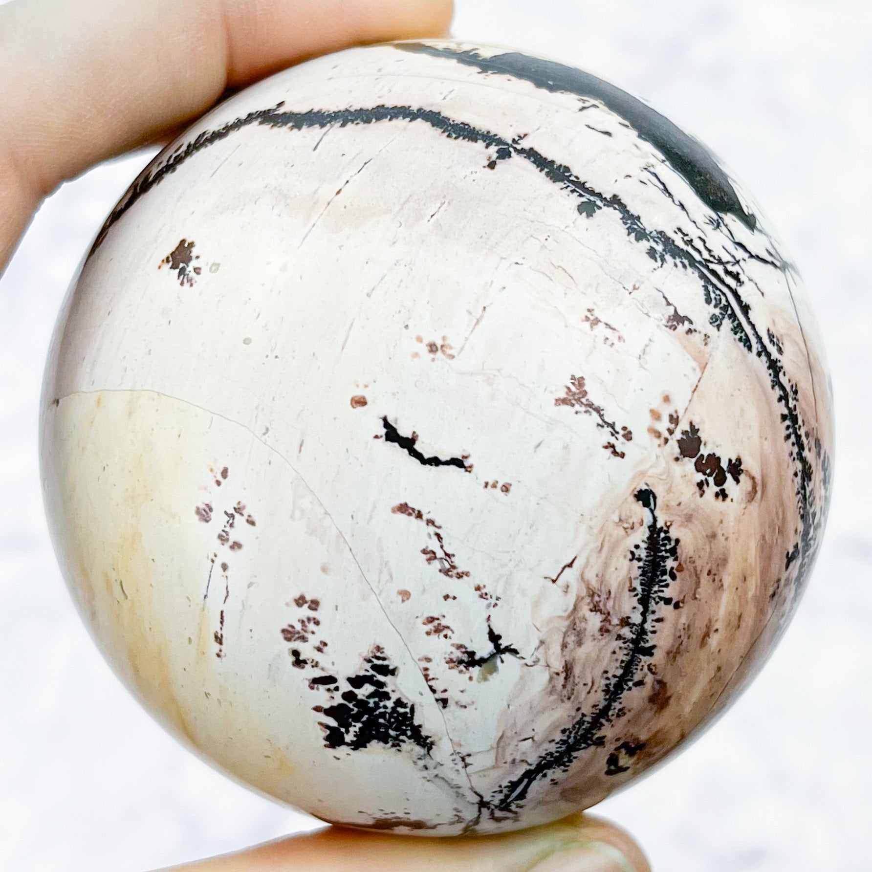 2.5 Inch Dendritic Limestone Sphere B67