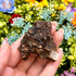 1.5 Inch Ferruginous Quartz Specimen A7