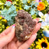 2 Inch Ferruginous Quartz Specimen E10