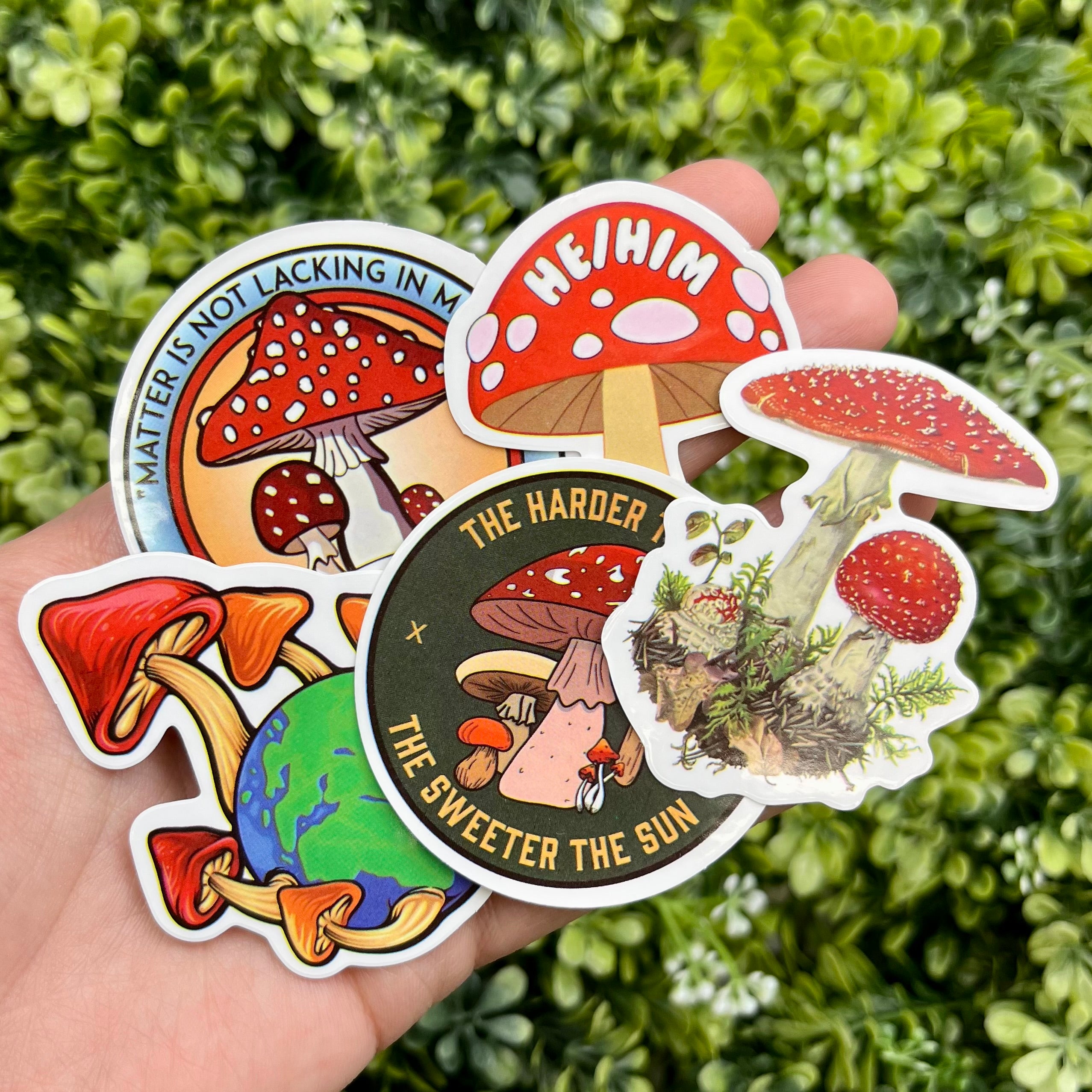 Mushroom Sticker Pack