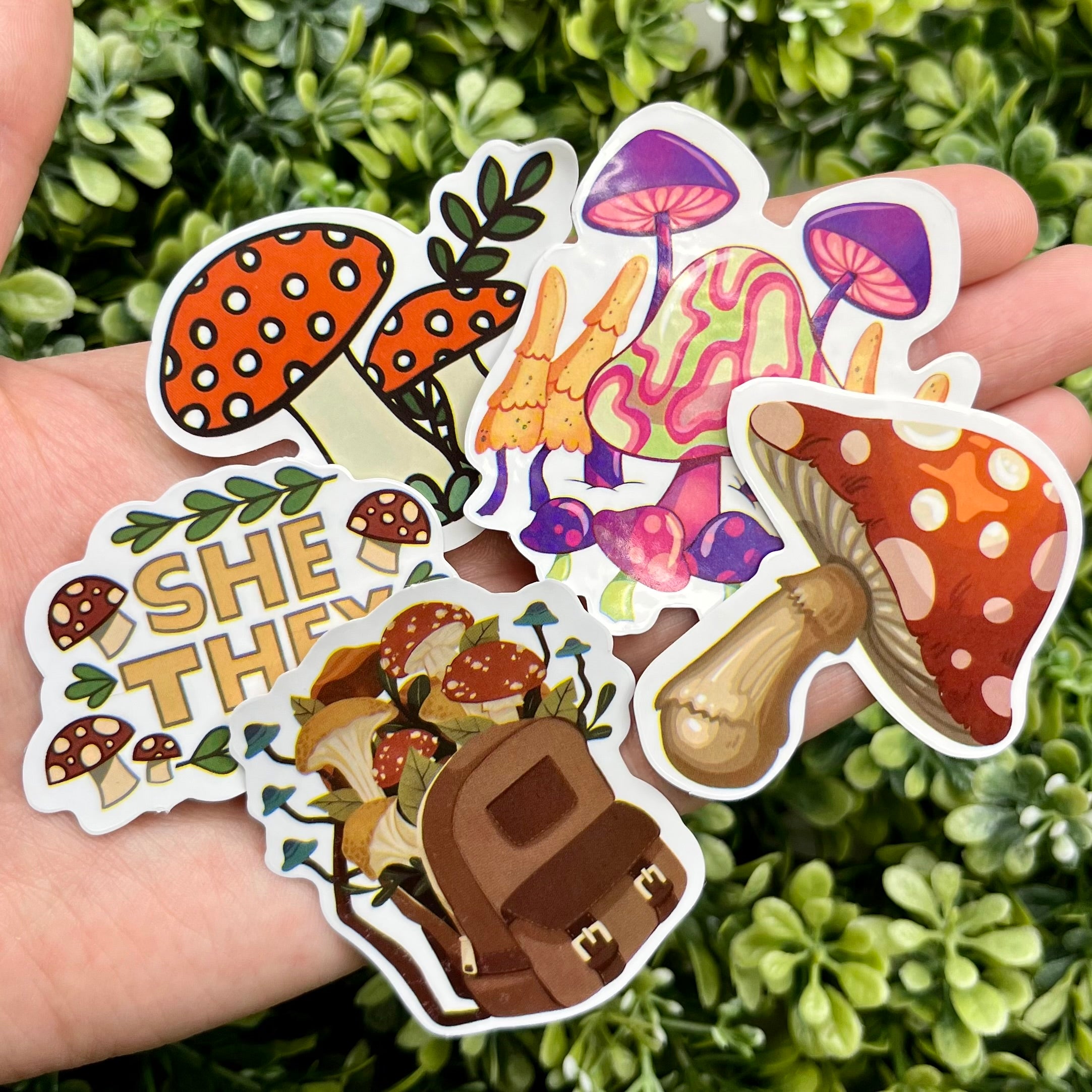 Mushroom Sticker Pack
