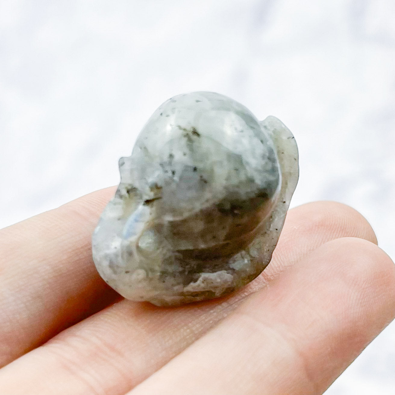 1 Inch Labradorite Snail Carving W15