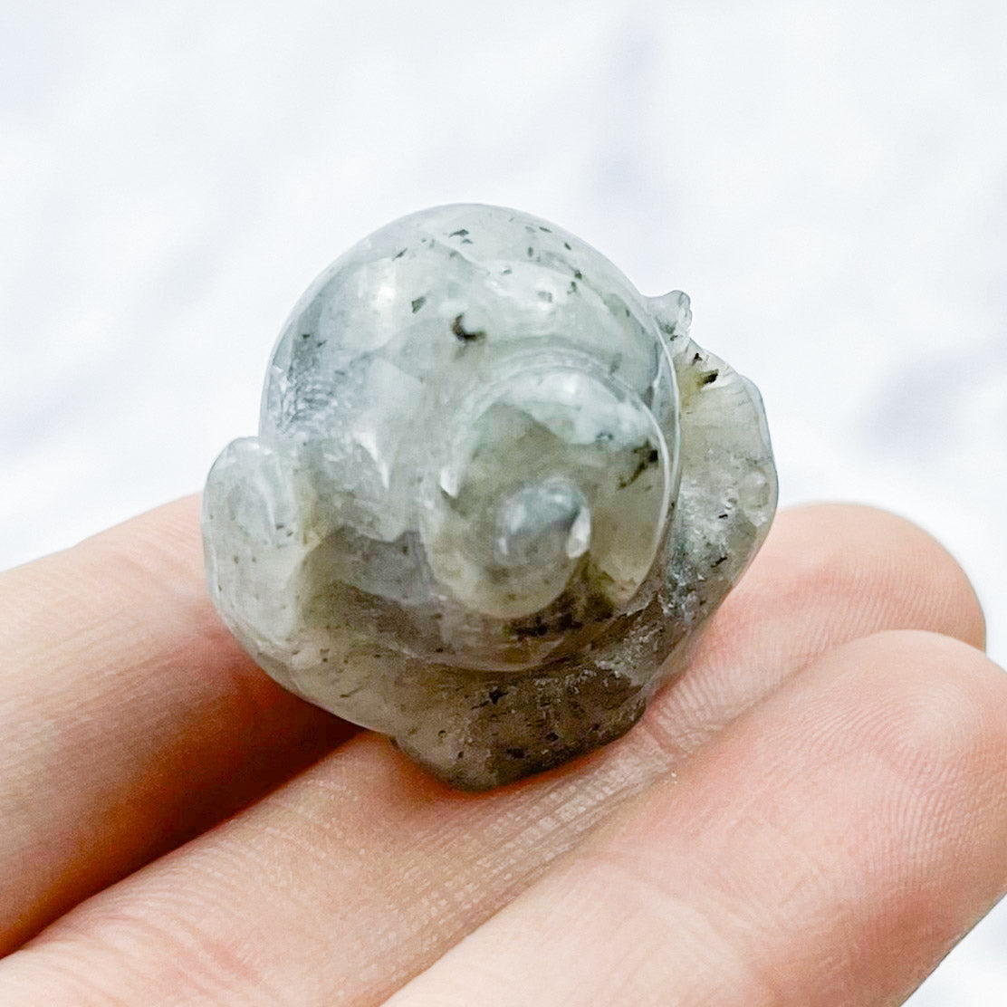 1 Inch Labradorite Snail Carving W15