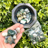 Large Moss Agate Tumble Pack M4