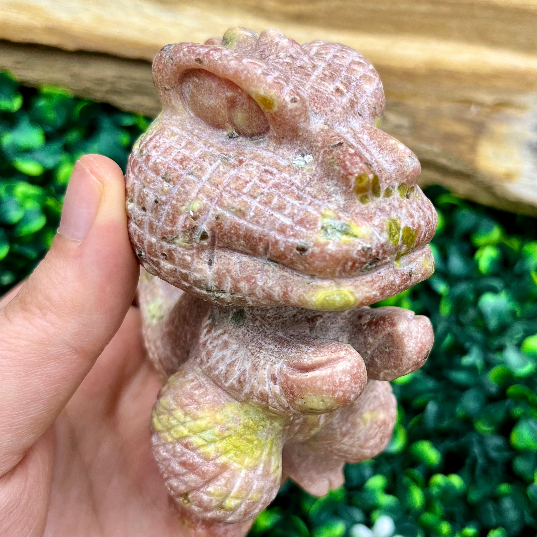 3.5 Inch Spicy Jasper Dinosaur D175