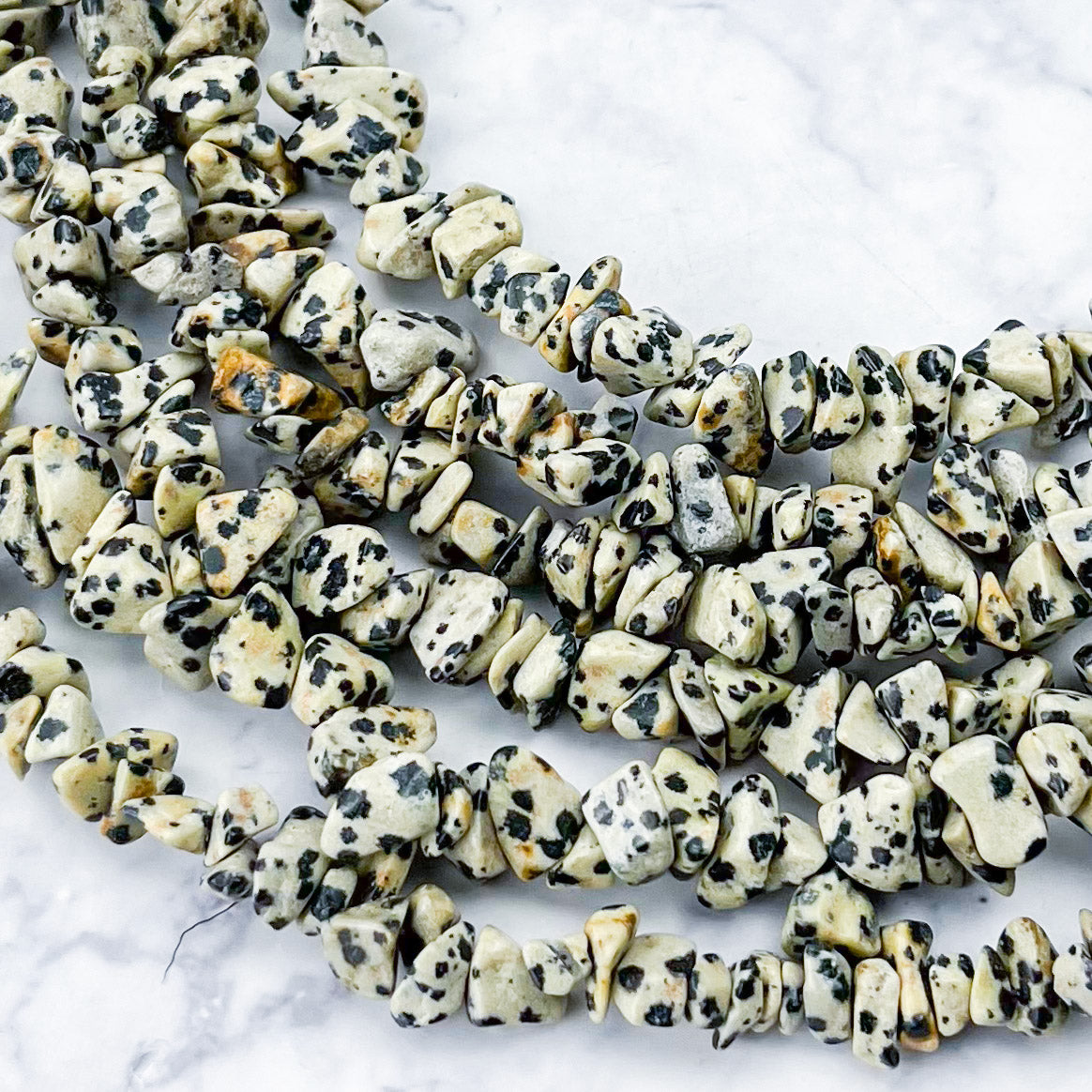 Dalmatian Jasper Chip Bead Strand