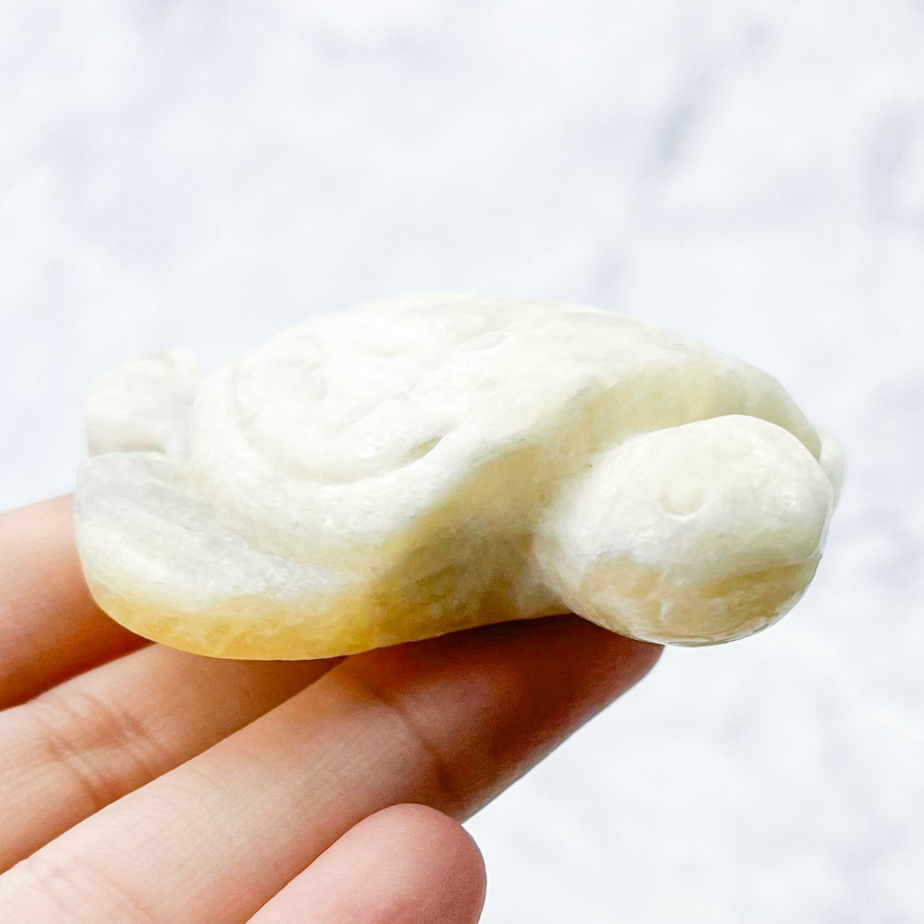 2.75 Inch White Moonstone Turtle Carving F24
