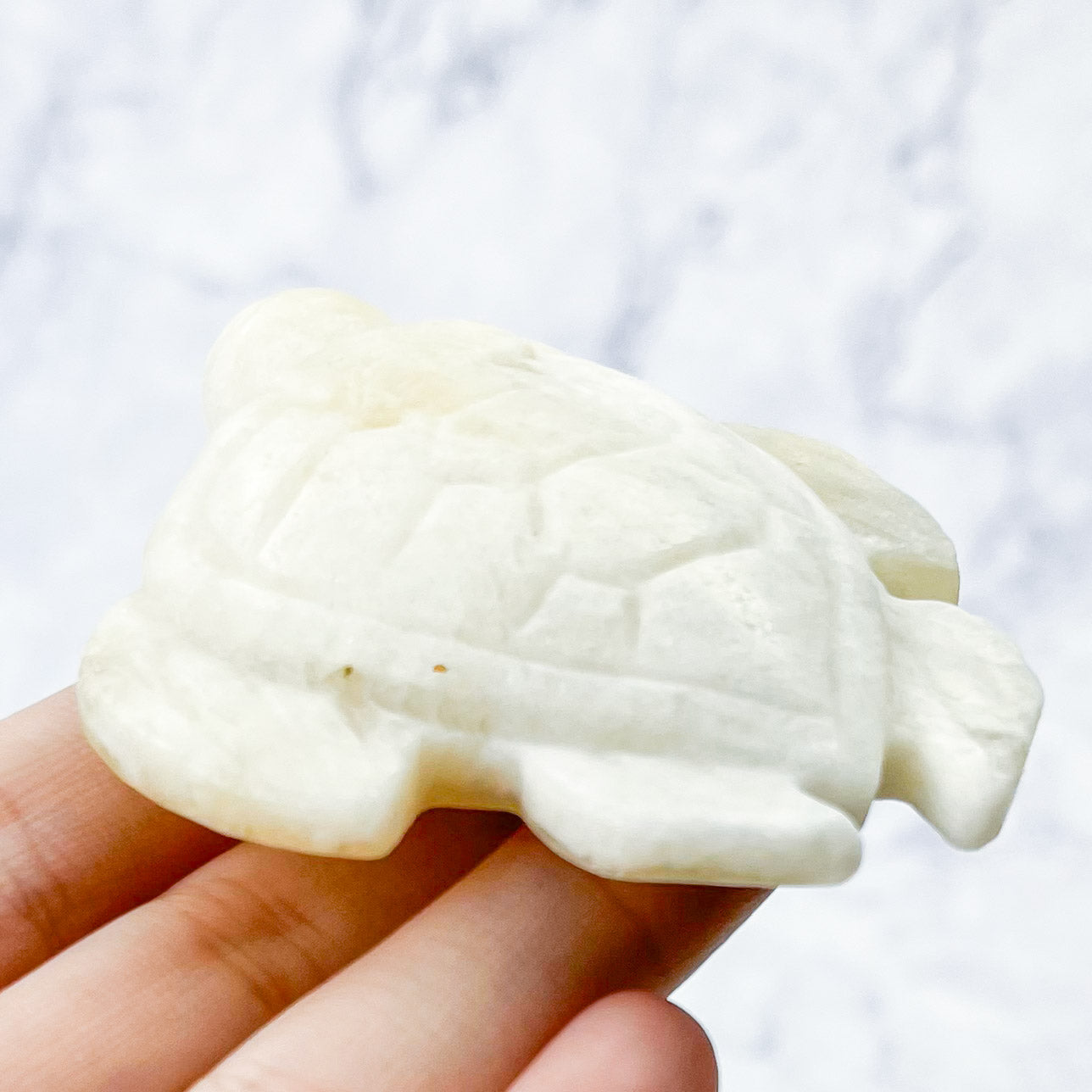 2.75 Inch White Moonstone Turtle Carving F24