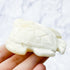 2.75 Inch White Moonstone Turtle Carving F24