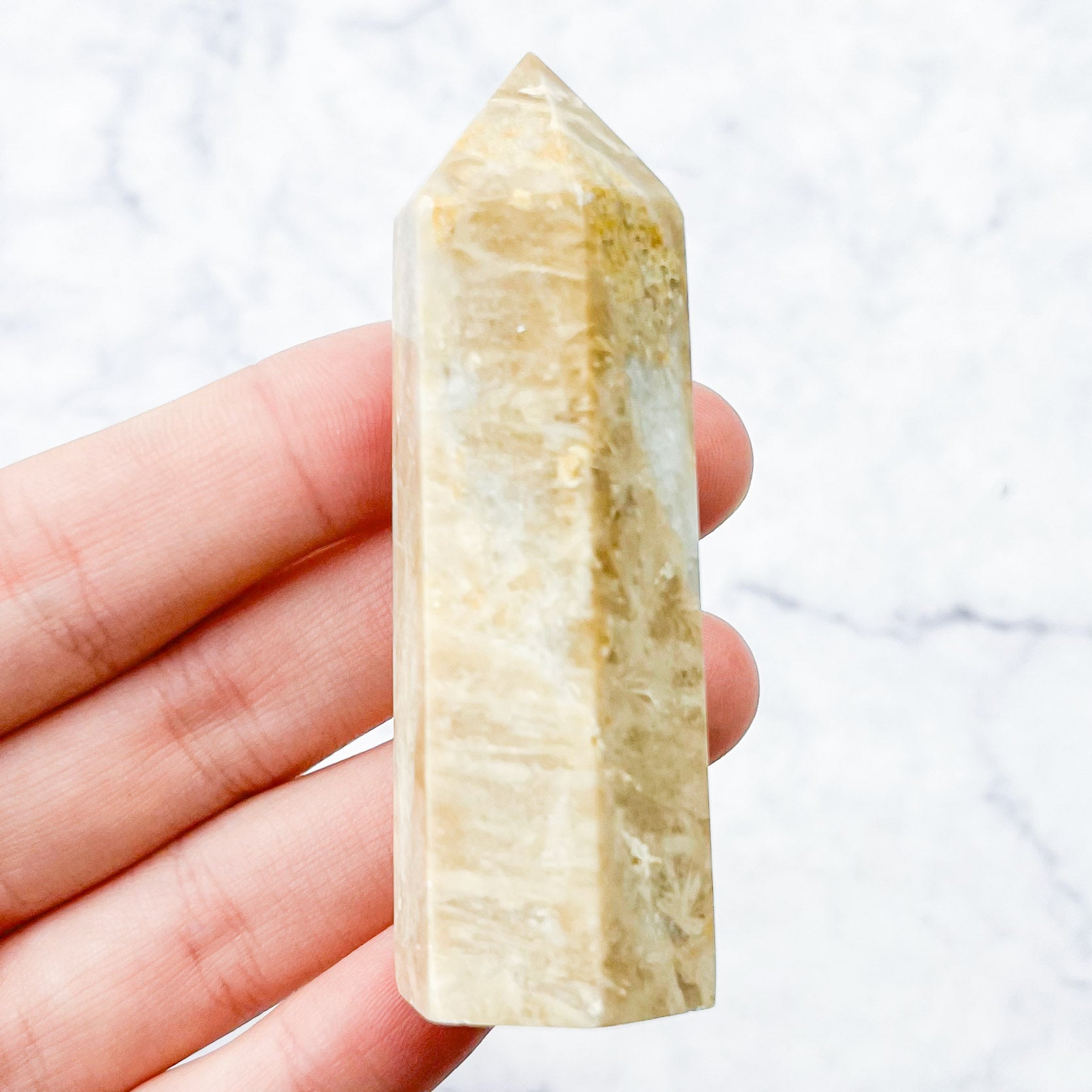 2.75 Inch Fossilized Coral Tower Y14
