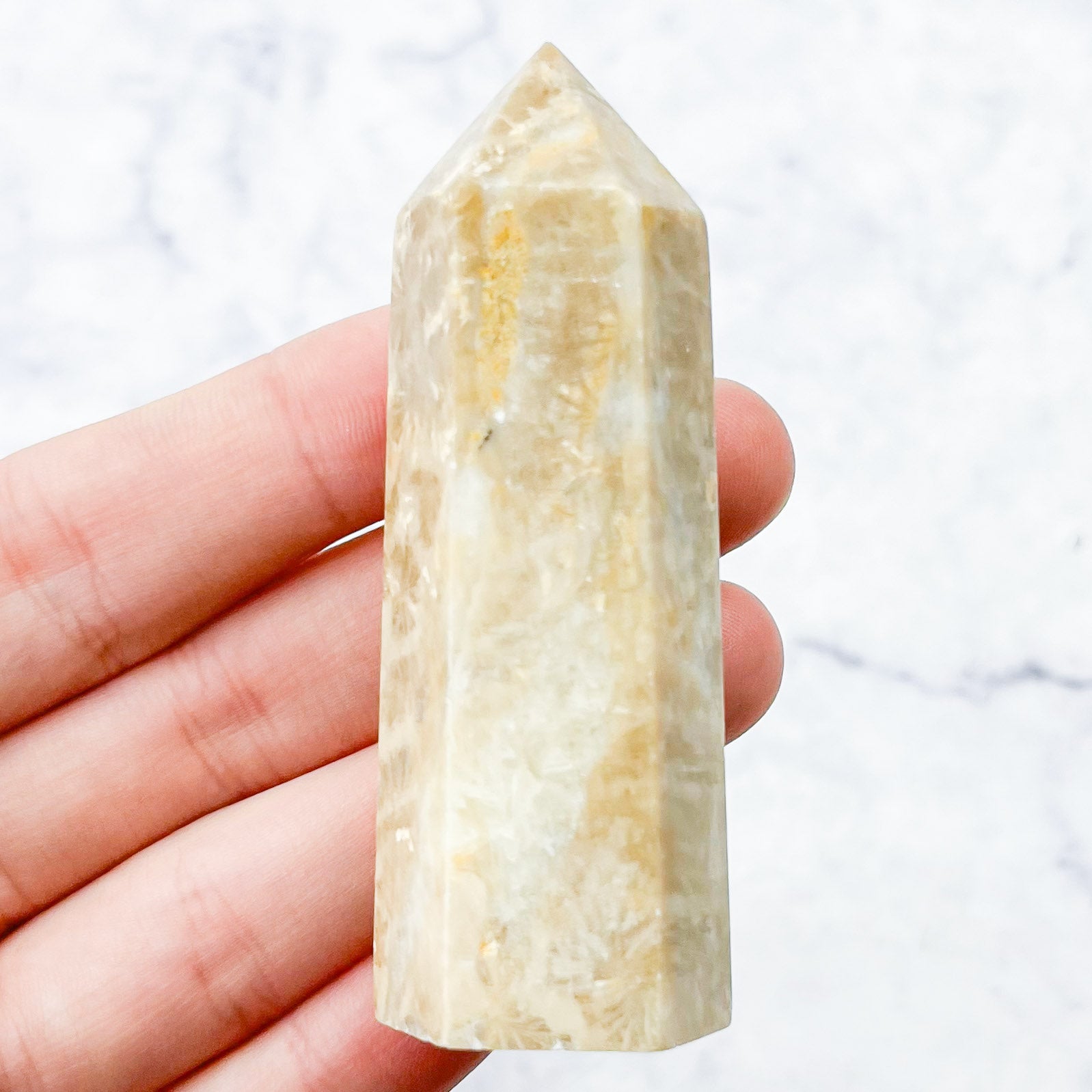 2.75 Inch Fossilized Coral Tower Y14