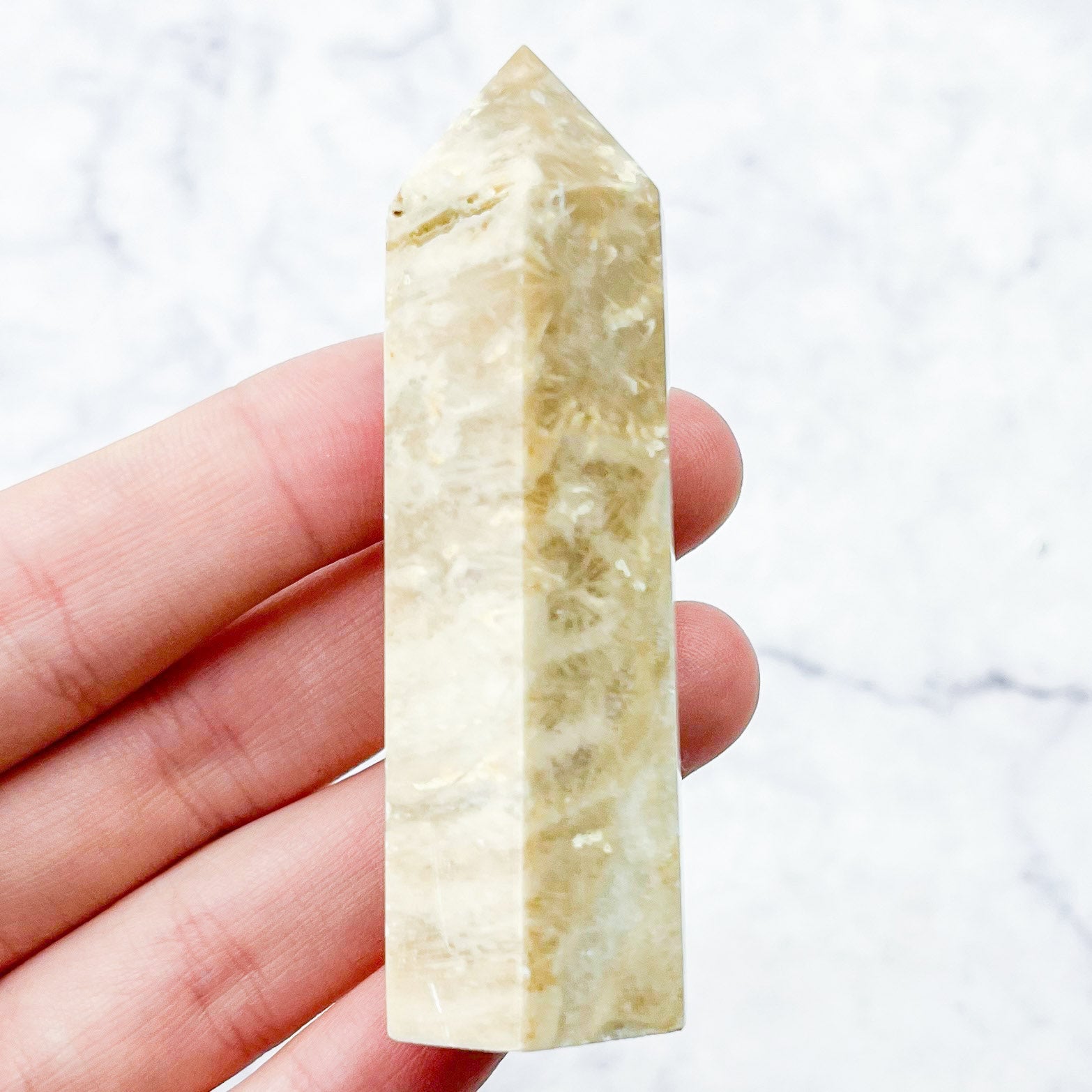 2.75 Inch Fossilized Coral Tower Y14