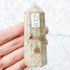 3 Inch Fossilized Coral Tower H20