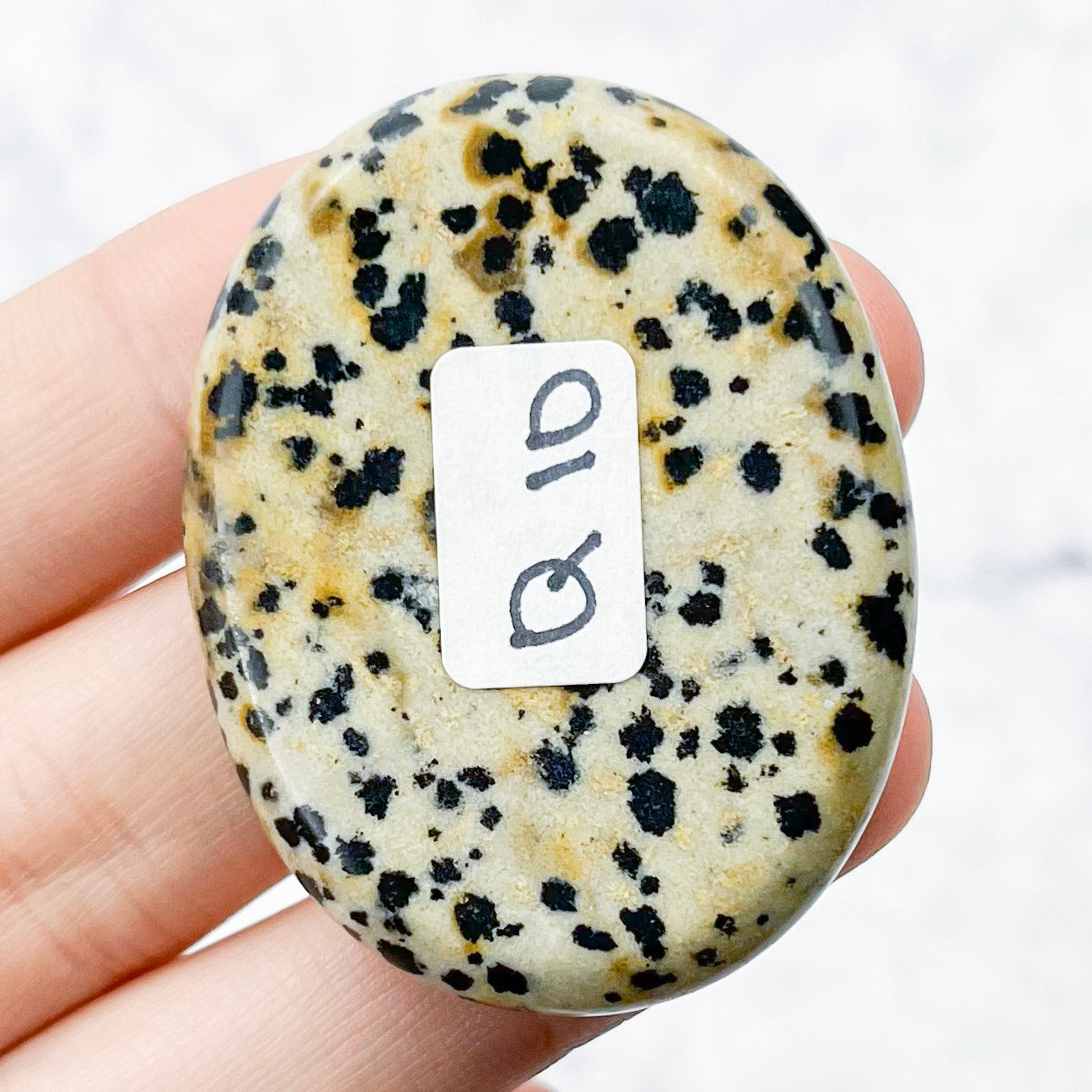 1.75 Inch Dalmatian Jasper Worry Stone Q10