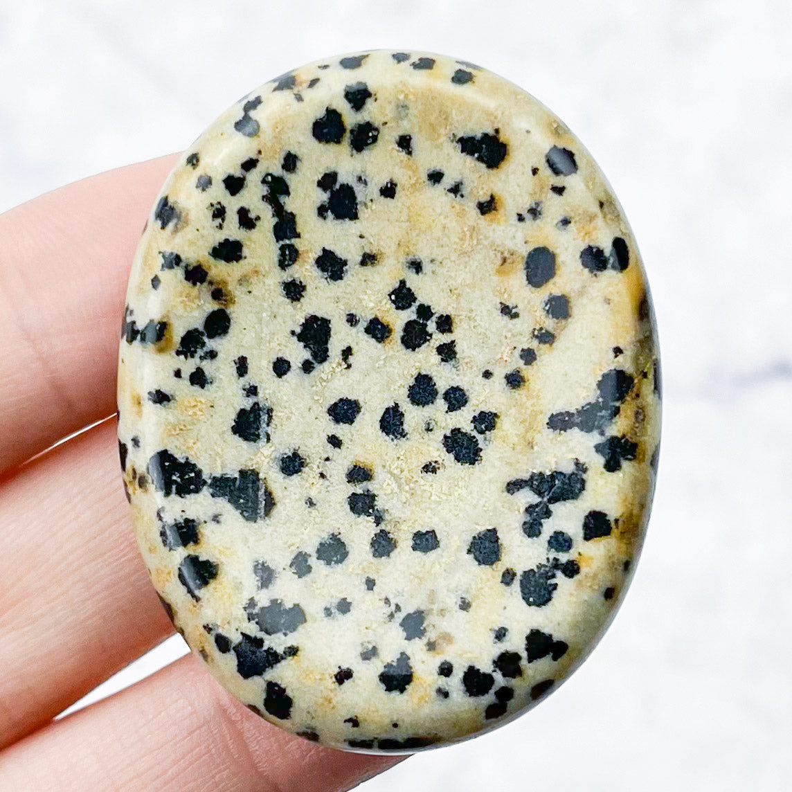 1.75 Inch Dalmatian Jasper Worry Stone Q10