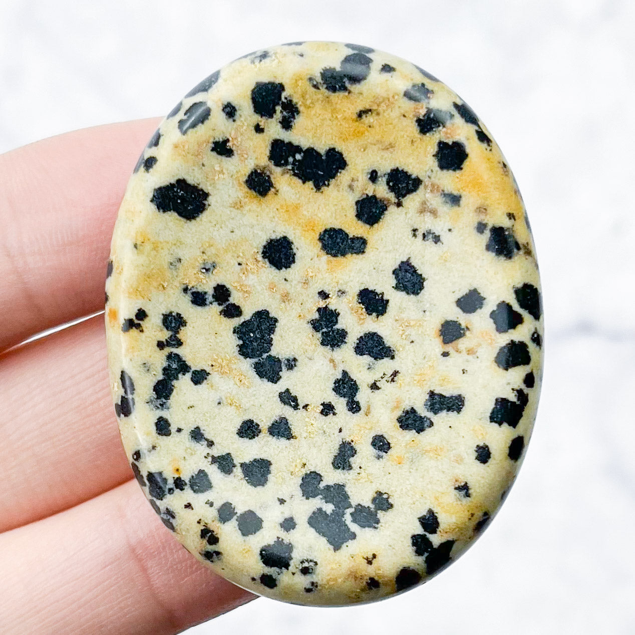 1.75 Inch Dalmatian Jasper Worry Stone A10