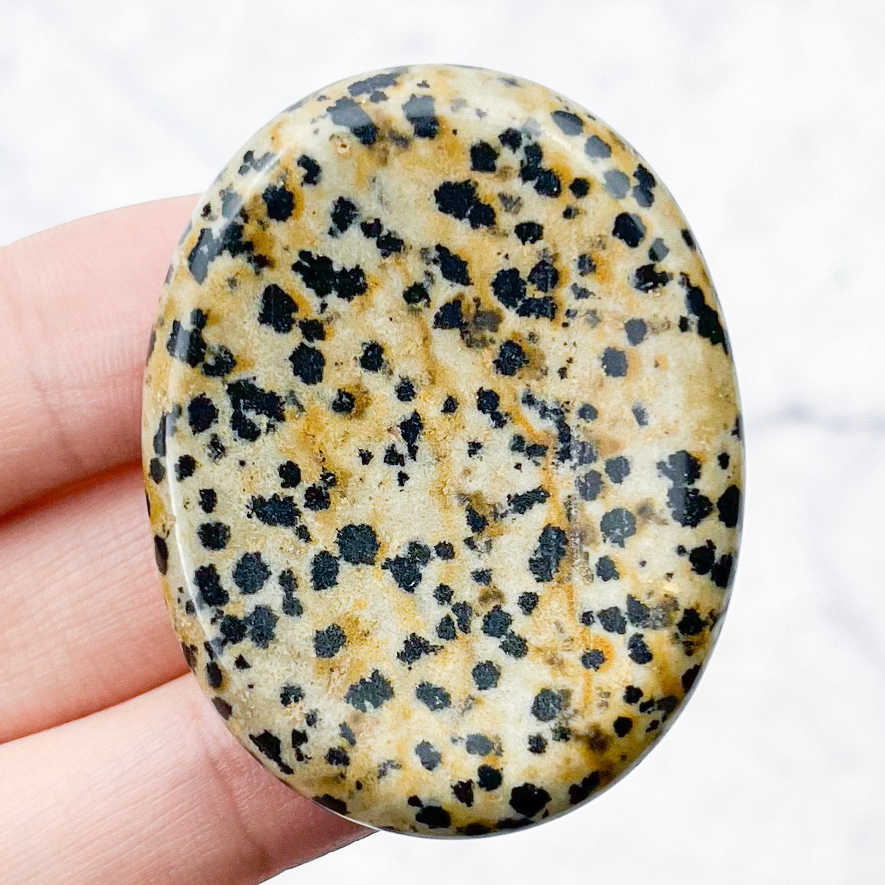 1.75 Inch Dalmatian Jasper Worry Stone M10