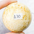 2.25 Inch Fossilized Coral Sphere A70