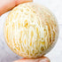 2.25 Inch Fossilized Coral Sphere A70