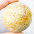 2.25 Inch Fossilized Coral Sphere A70
