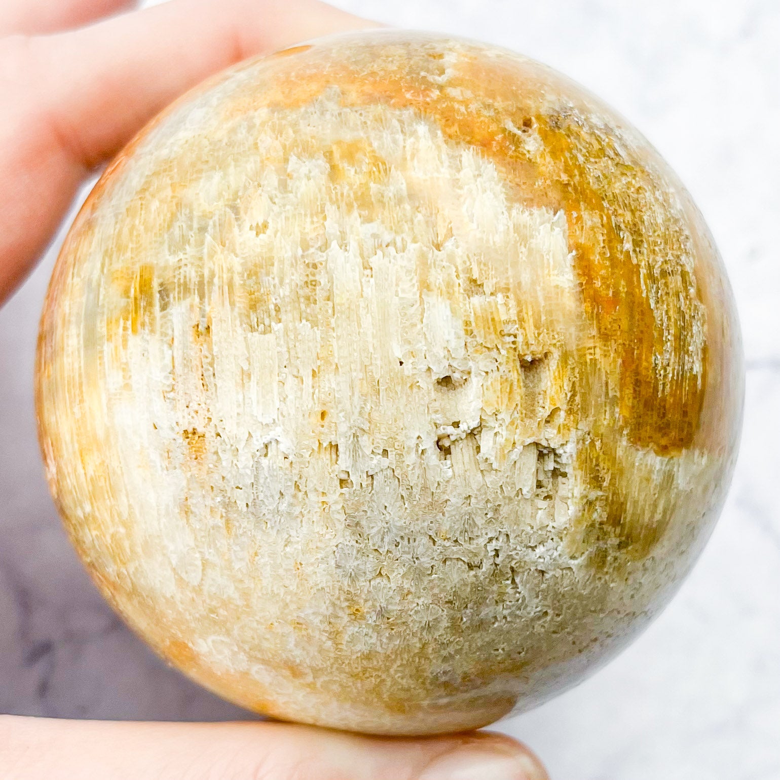 2.5 Inch Fossilized Coral Sphere D117