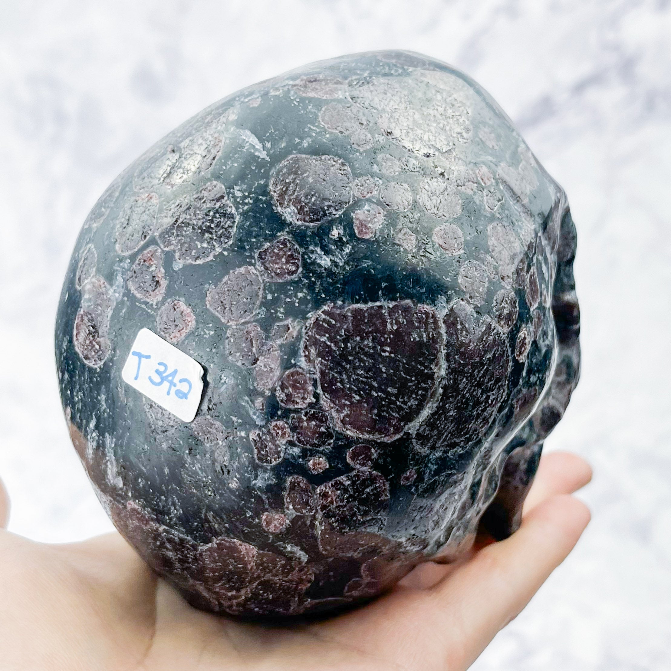 5 Inch Garnet in Arfvedsonite Skull Carving