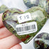 Dragonsblood Hearts $12