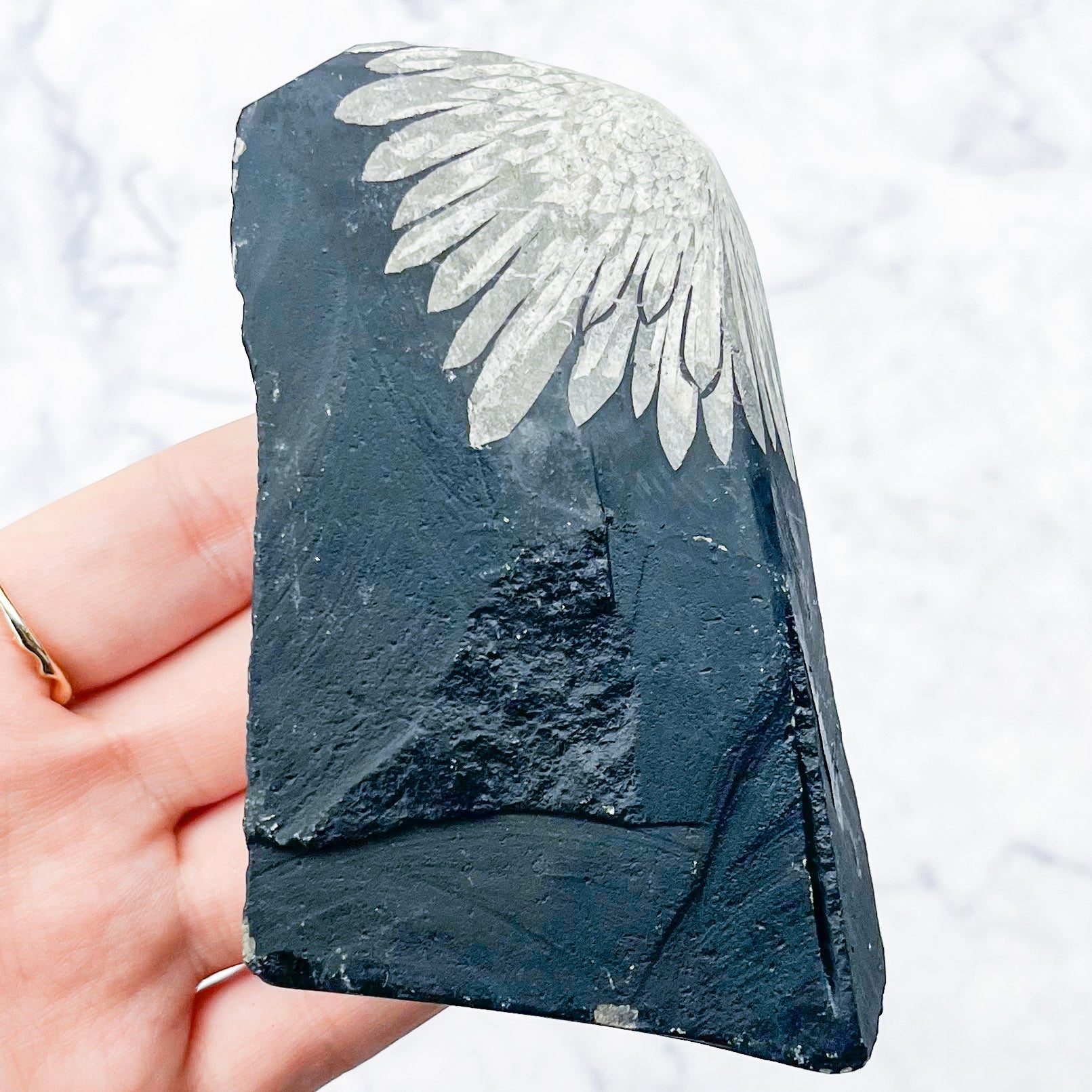 Chrysanthemum Stone Specimen P48