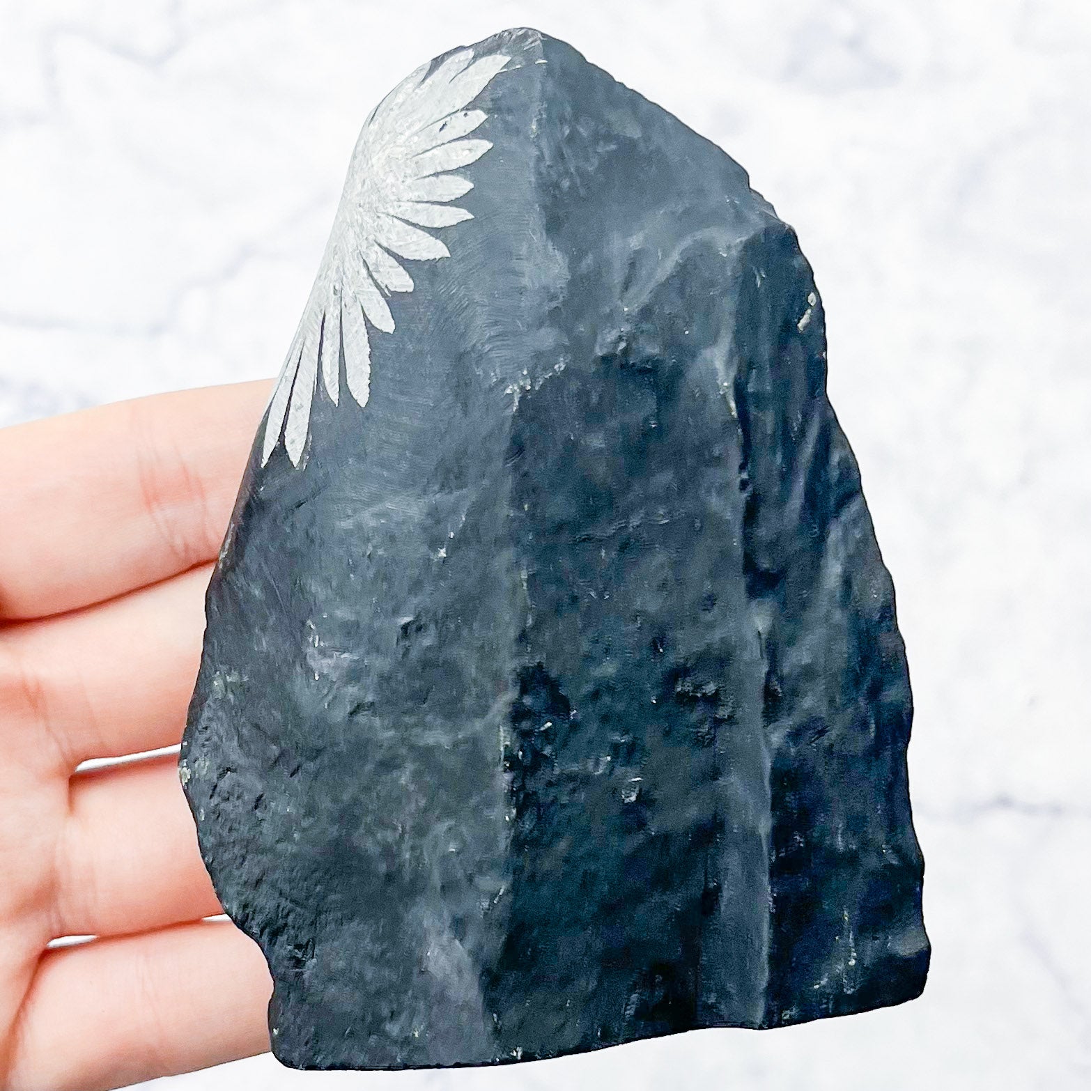 Chrysanthemum Stone Specimen N48