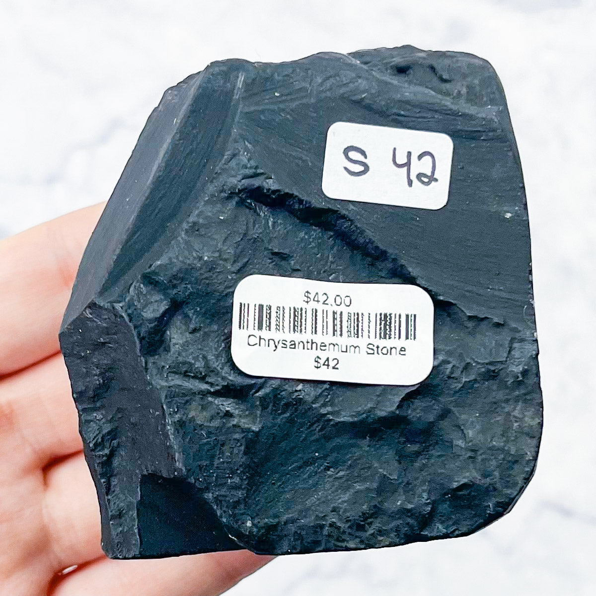 Chrysanthemum Stone Specimen S42