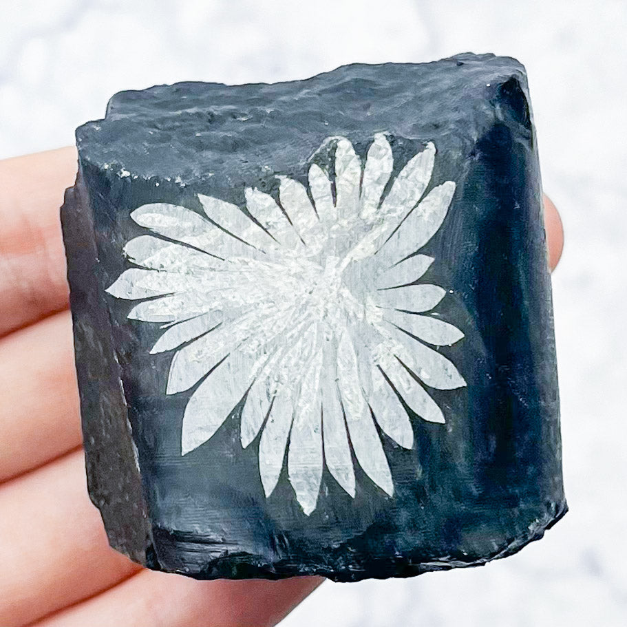 Chrysanthemum Stone Specimen Q42