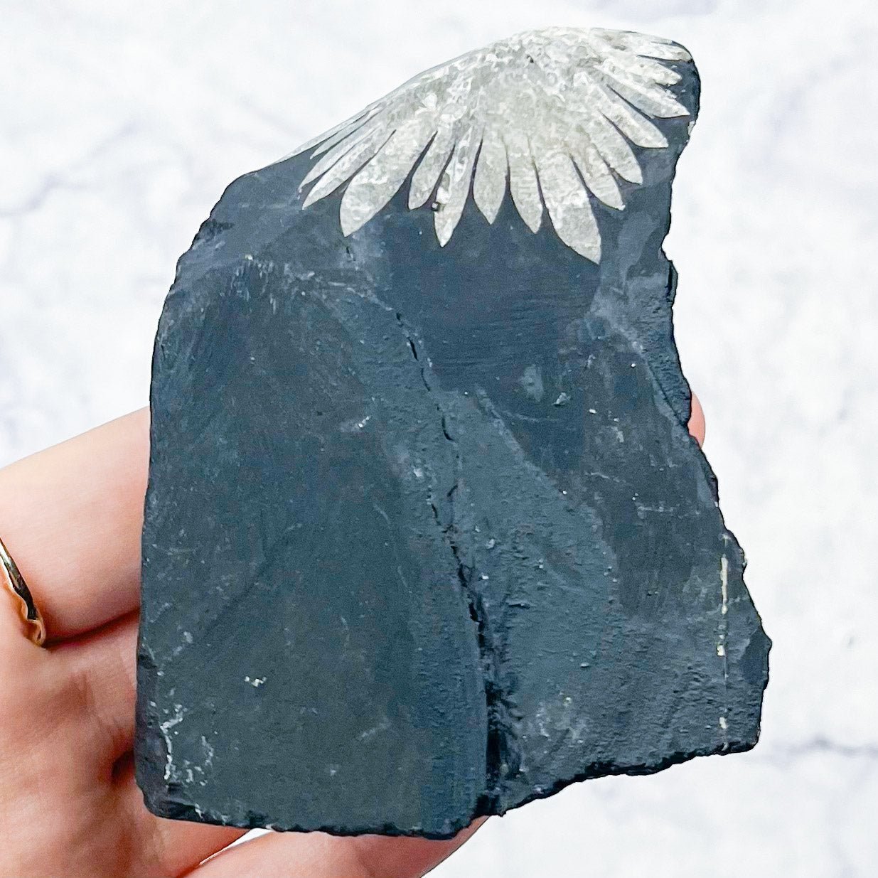 Chrysanthemum Stone Specimen R42