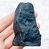 Chrysanthemum Stone Specimen U36