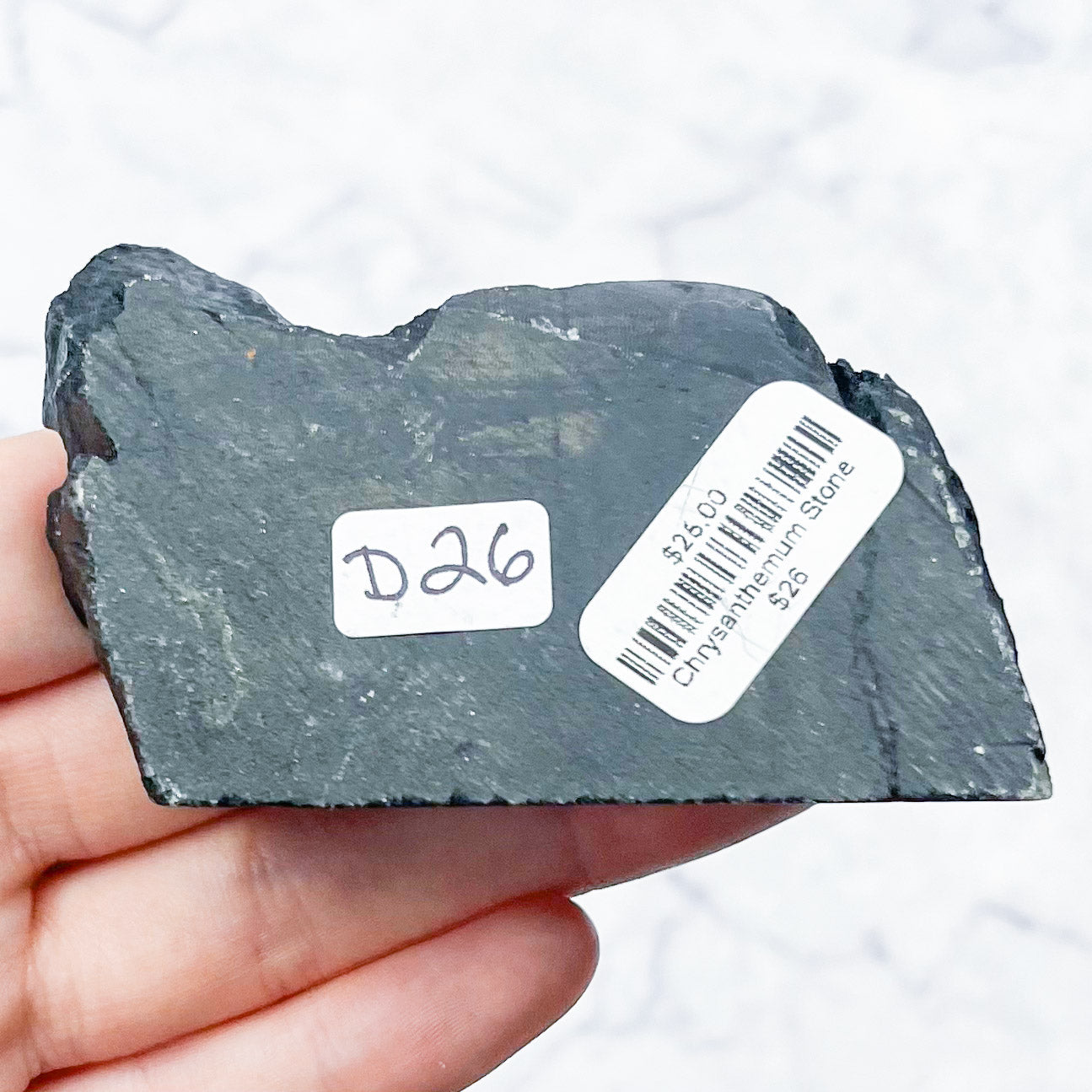 Chrysanthemum Stone Specimen D26